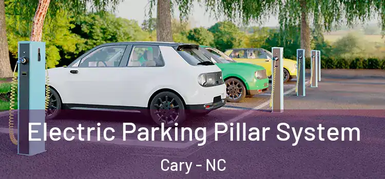 Electric Parking Pillar System Cary - NC