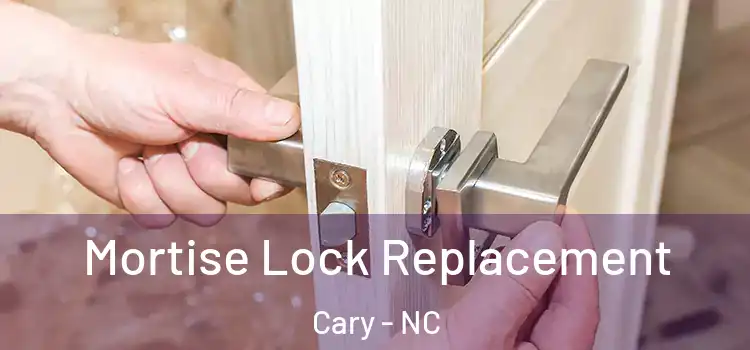 Mortise Lock Replacement Cary - NC